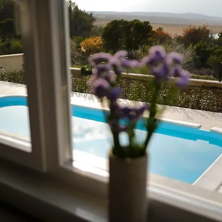 Immortelle With Pool And Sea View * ロバニスカ
